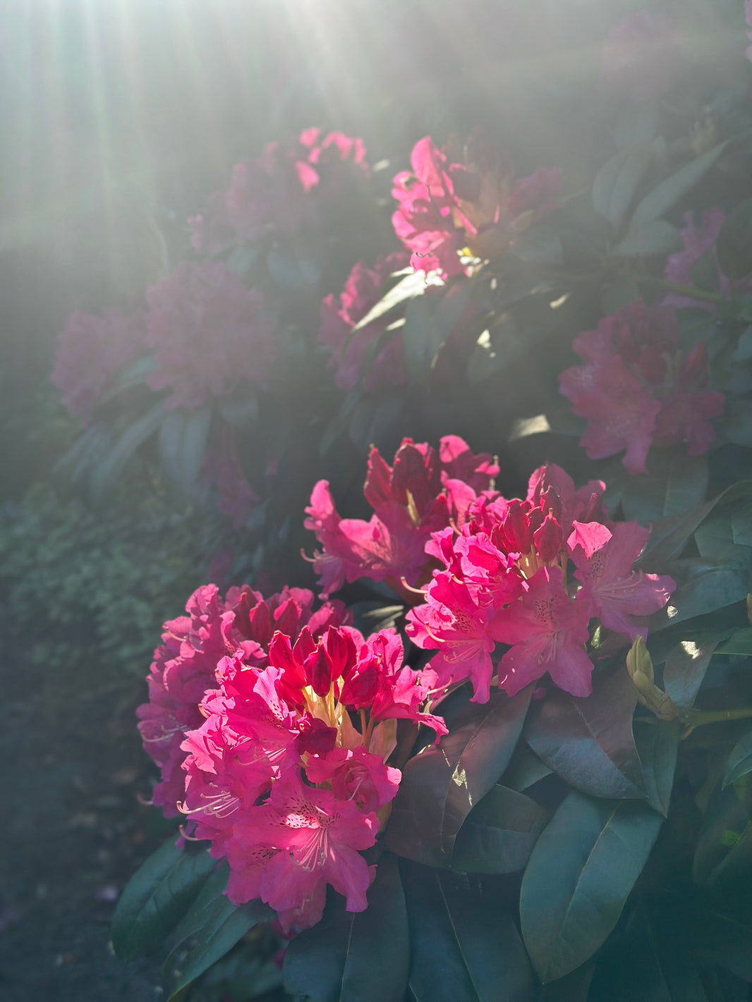 The Last 10% of Grief: When Hope Delays the Pain