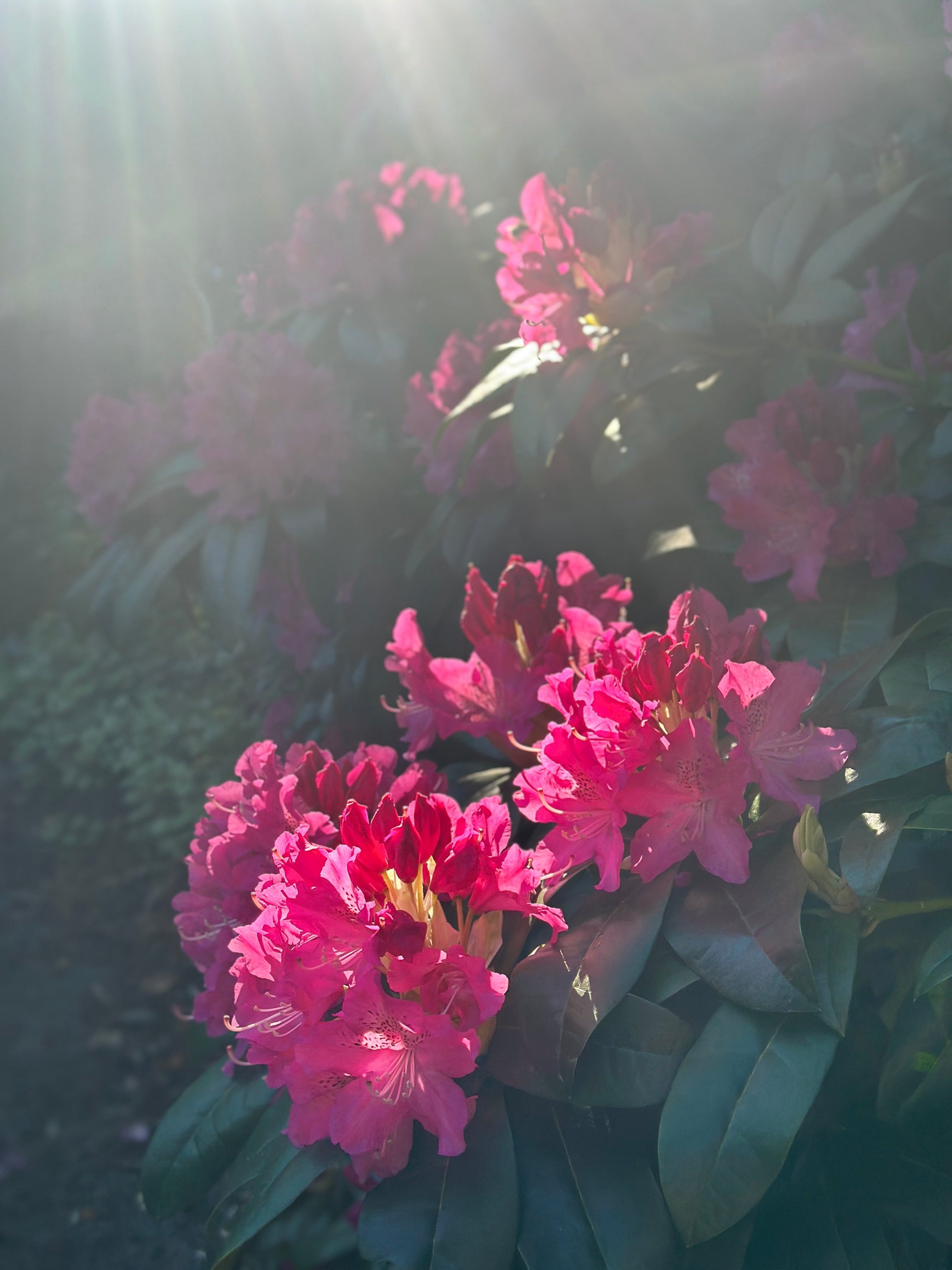 The Last 10% of Grief: When Hope Delays the Pain